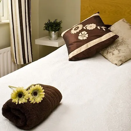 The Lemon Leaf Café Bar&townhouse 4* Kinsale