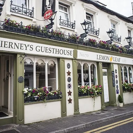 The Lemon Leaf Café Bar&townhouse 4* Kinsale